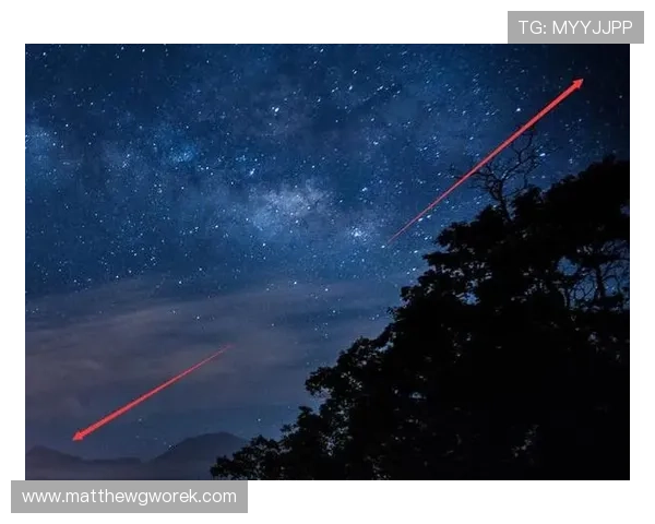 星空官方登录入口：官方推荐的登录步骤与账号管理技巧